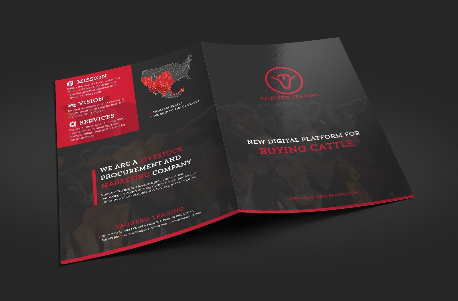 Portfolio | The Codified Lab